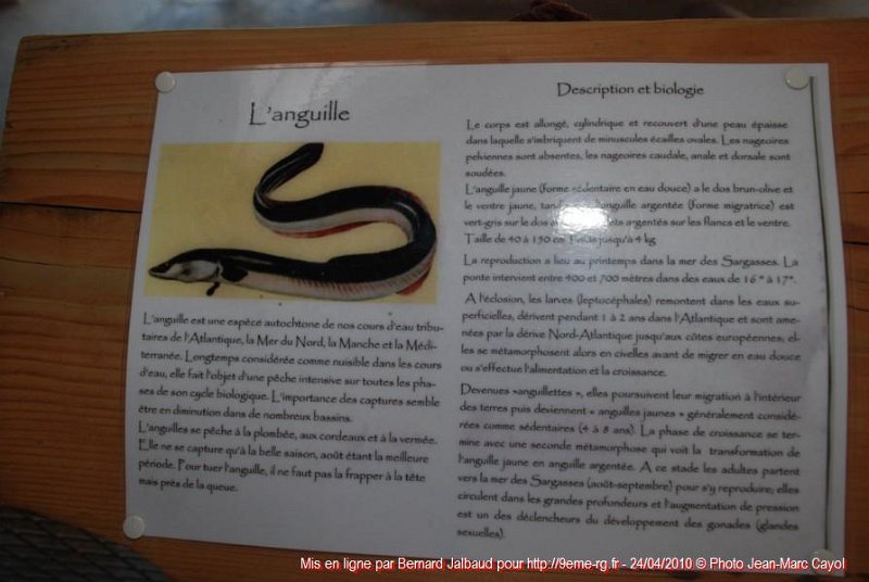 Gens de Garonne (65).JPG